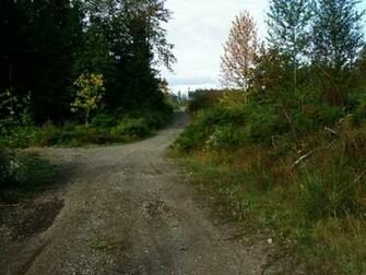 Logging Road Wallpaper Nature And Landscape Better