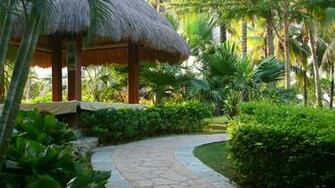 Beautiful Garden Wallpaper Which Is Under The