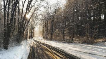 Sunny Winter Day Wallpaper Nature