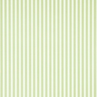 Wallpaper New Tiger Stripe Leaf Green Ivory Dcavtp103