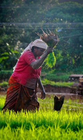 Farmer Image Pictures