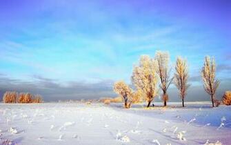 Snowy Winter Landscape Wallpaper Stock