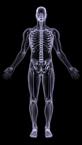 Xray Skeleton iPhone Wallpaper