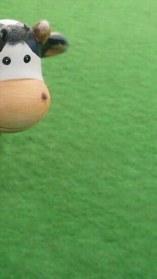 Cute Cow iPhone Wallpaper