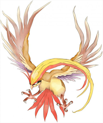 Pidgeot Wallpaper