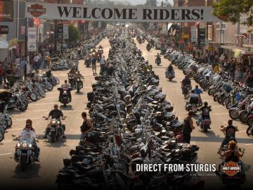 Sturgis Wallpaper Group