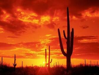 Arizona Desert Wallpaper Top Background