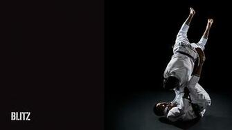 Bjj Wallpaper Desktop Image