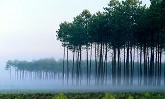 Amazing Nature HD Wallpaper 1080p