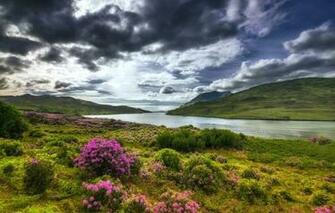 Wallpaper Greens The Sky Grass Clouds Flowers Mountains