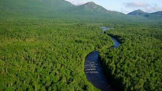 File East Branch Penobscot KataHDin Stream And Woods Jpg Wikipedia