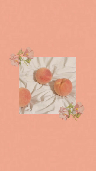 Vintage Peach Aesthetic Wallpaper