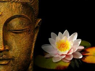 Zen Wallpaper Megan Fox Buzz