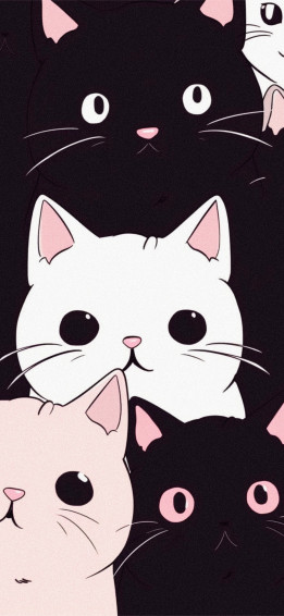 Funny Cats Aesthetic Wallpaper Cool For iPhone