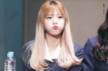 Wallpaper Heaven Daily Luda
