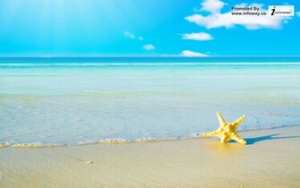 Wallpaper Christmas Nature Summer Beach