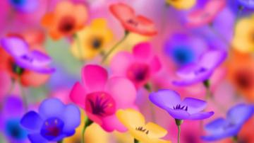 Bright Floral Wallpaper HD Net