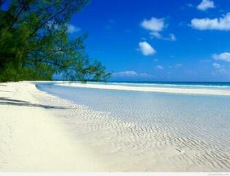 Inspiring Summer Background