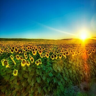 Pcmovies HD Superb Nature Wallpaper