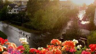 Season HD Wallpaper Nice Beautiful