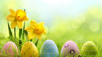 Holiday Easter Egg 4k Eggs Wallpaper