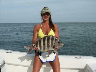Sheepshead Member S Gallery Virginia Beach Sport Fishing Forum