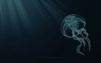 Jellyfish Wallpaper By Nialexanderart