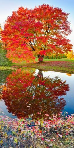 Autumn