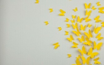 Yellow And White Wallpaper High Definition Quality