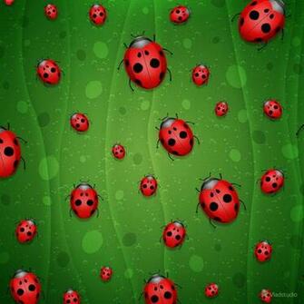 Ladybugs L Wallpaper iPad Ladybug Love Bugs