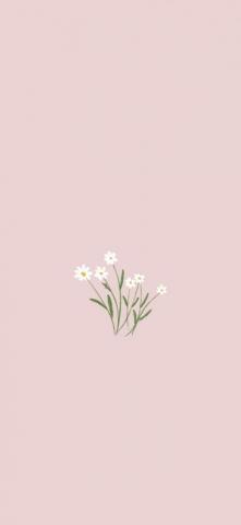 Wallpaper