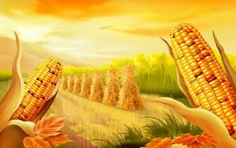 Funny Thanksgiving Wallpaper HD