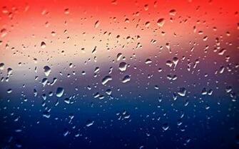 Water Drops 4k Ultra HD Wallpaper Net
