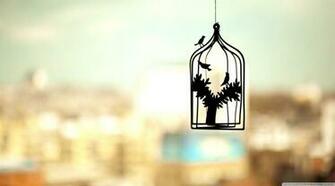 Birds Cage Photo HD Wallpaper Supreme