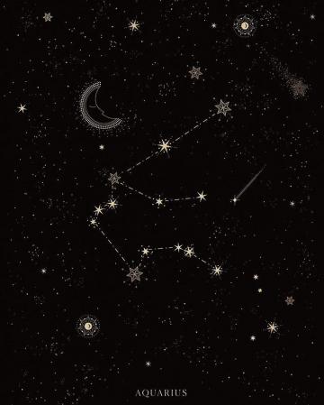 To All Of My Magical Aquarius Here Celebrating