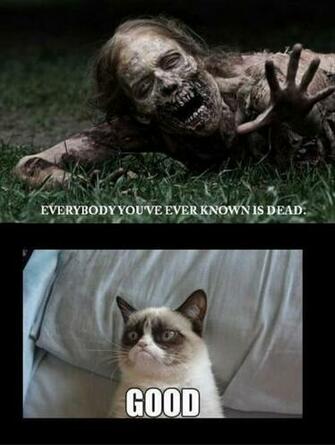 Return To Random Funny Pictures Pics