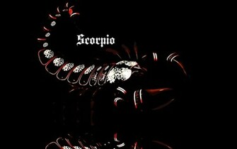 Scorpio Creative Picture Wallpaper And Image Pictures