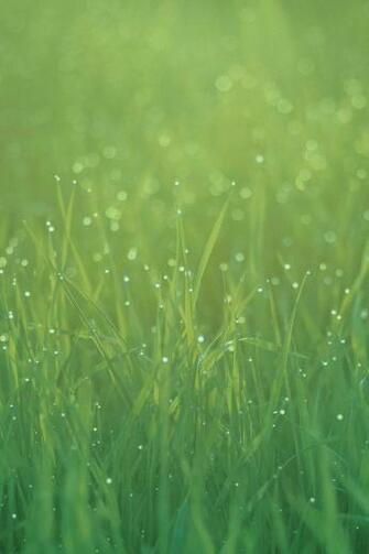 Ios Official iPhone 4s Wallpaper And Background
