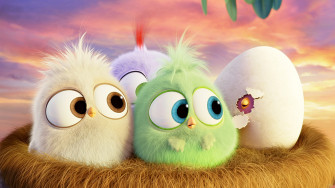Angry Birds 4k Desktop Wallpaper Cartoon