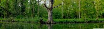 May Nature Wallpaper HD Res