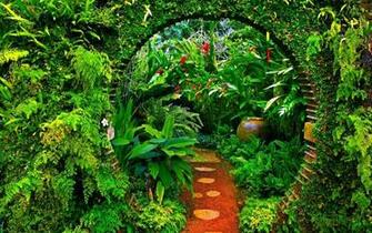 Greenhouse Plants Garden Wallpaper