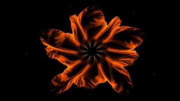 Why Do Neural Networks Generalize So Effortlessly And Other Questions