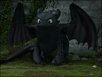 Cute Toothless Dragon Wallpaper Image Pictures Becuo
