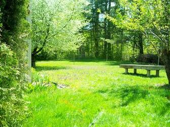 Best Backyard Background Wallpaper