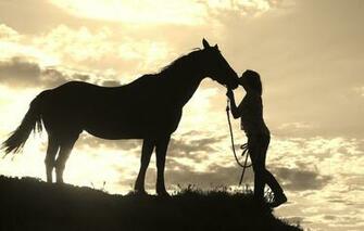 Western Horse Wallpaper HD Background Desktop