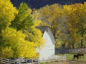 Autumn Farm Screensaver Screensavers