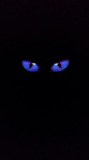iPhone Vertical Wallpaper Eyes Blue Black In