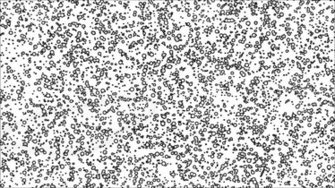Home Search Results For Black And White Background