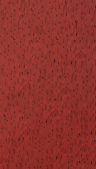 iPhone Wallpaper Japanese