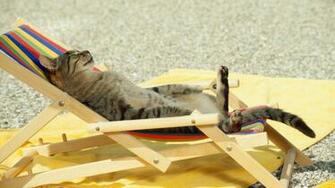 Beach Chair Wallpaper Pictures